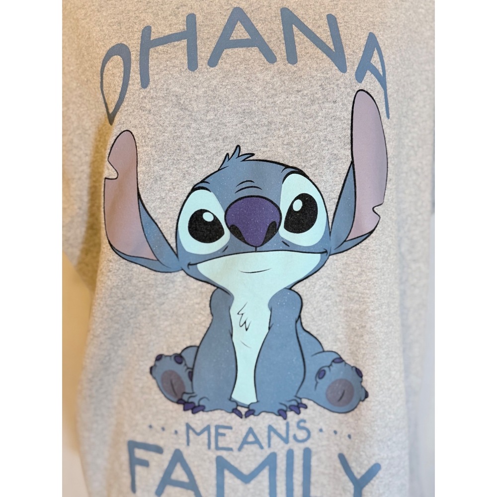 Disney Lilo & Stitch Ohana Means Family Gray Graphic T-Shirt Large